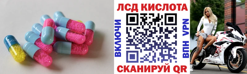 kraken Карачев Лсд 25 экстази ecstasy купить