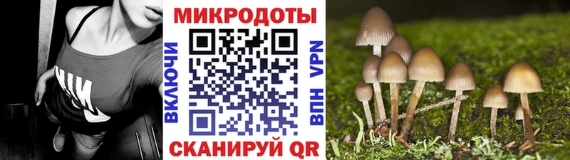 Галлюциногенные грибы Magic Shrooms  кракен онион  Карачев  цены  